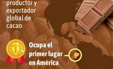 Hacienda Cacaotera 240 hectáreas sector Los Ríos