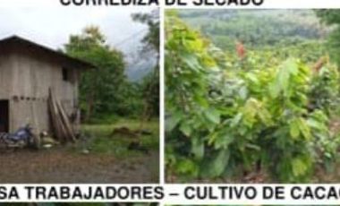 Hacienda Cacaotera 240 hectáreas sector Los Ríos