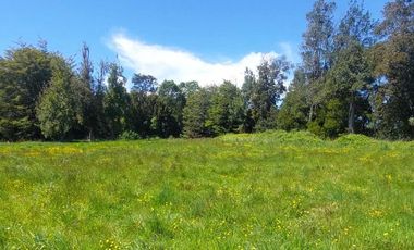 Parcela en venta  en PUERTO VARAS