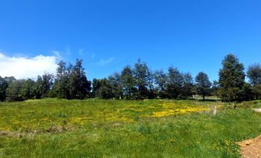 Parcela en venta  en PUERTO VARAS
