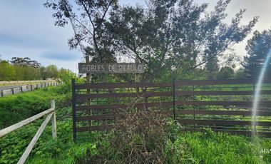 Parcela en venta en OSORNO