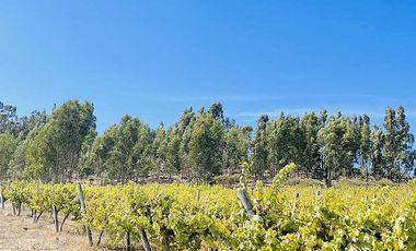 Parcela en venta en NAVIDAD