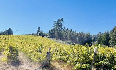 Parcela en venta en NAVIDAD