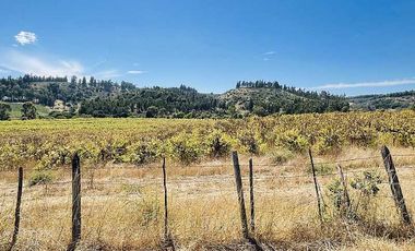 Parcela en venta en NAVIDAD