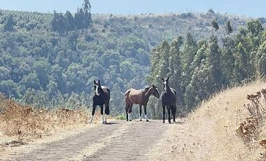 Parcela en venta en NAVIDAD