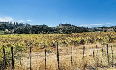 Parcela en venta en NAVIDAD