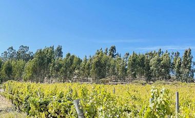 Parcela en venta en NAVIDAD