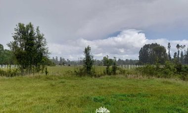 Parcela en venta en PAILLACO