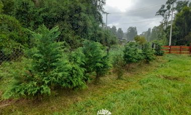 Parcela en venta en PAILLACO