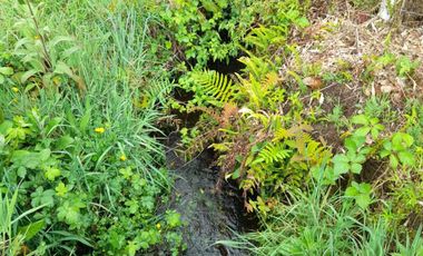 Parcela en venta en PAILLACO