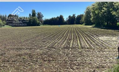 Parcela en Venta en Sector Rural La Pitrilla