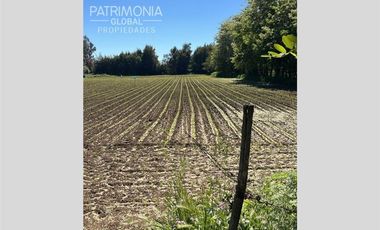 Parcela en Venta en Sector Rural La Pitrilla