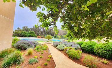 Departamento en Arriendo en Condominio Costa Puyai II, edificio 5