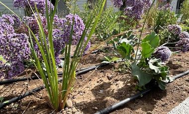 Departamento en Arriendo en Calle 4 Oriente N°1271, Talca