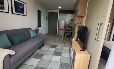 Departamento full amoblado en arriendo en Parque Almagro