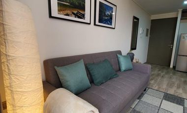 Departamento full amoblado en arriendo en Parque Almagro