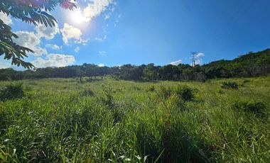 Terreno en Venta – Juana Moza, Tuxpan, Veracruz