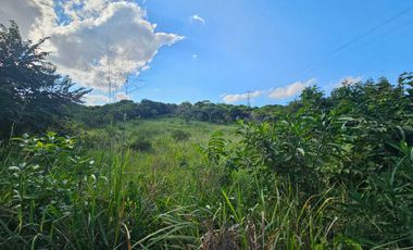 Terreno en Venta – Juana Moza, Tuxpan, Veracruz
