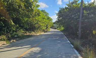 Terreno en Venta – Juana Moza, Tuxpan, Veracruz