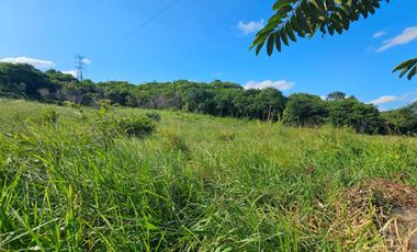 Terreno en Venta – Juana Moza, Tuxpan, Veracruz
