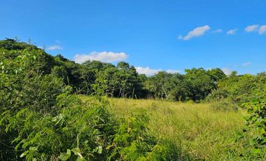Terreno en Venta – Juana Moza, Tuxpan, Veracruz