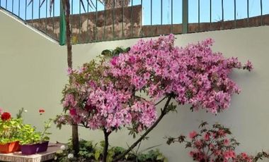 Departamento en venta - 3 Dormitorios 2 Baños - Avellaneda