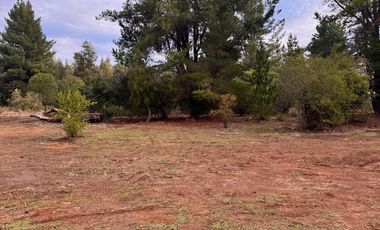 VENTA PARCELA 5000MTS Parral