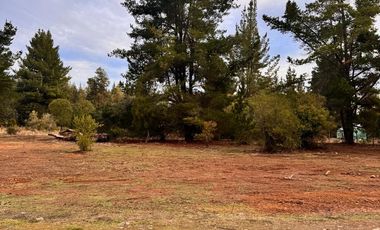 VENTA PARCELA 5000MTS Parral