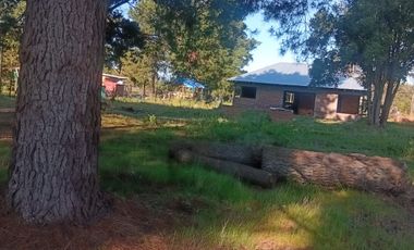 VENTA PARCELA 5000MTS Parral