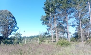 VENTA PARCELA 5000MTS Parral