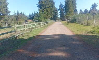 VENTA PARCELA 5000MTS Parral