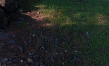 VENTA PARCELA 5000MTS Parral