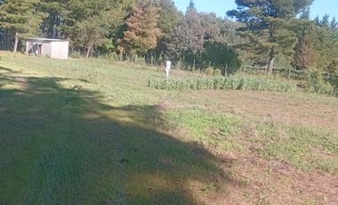 VENTA PARCELA 5000MTS Parral