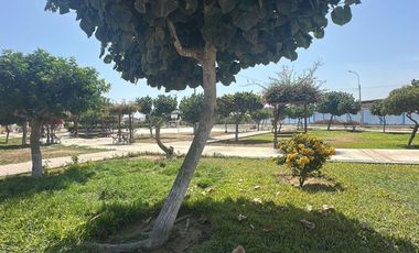 Venta de Terreno - Urb. Claveles de LURIN