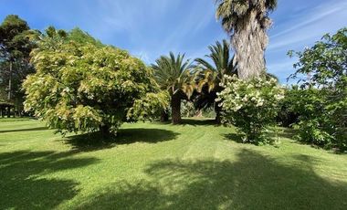 Parcela en Venta en El Rincon /Camino La Candelaria