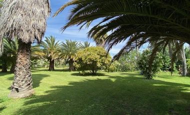 Parcela en Venta en El Rincon /Camino La Candelaria