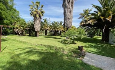 Parcela en Venta en El Rincon /Camino La Candelaria