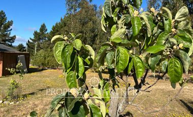 Algarrobo, 2 propiedades en Maravillosa Parcela en Parque Santa María.
