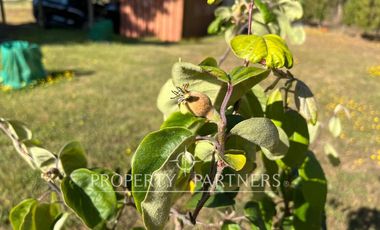 Algarrobo, 2 propiedades en Maravillosa Parcela en Parque Santa María.
