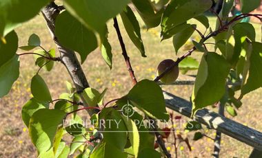 Algarrobo, 2 propiedades en Maravillosa Parcela en Parque Santa María.