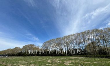 Linda parcela en «Fundo Praderas de Frutillar»