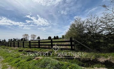 Linda parcela en «Fundo Praderas de Frutillar»