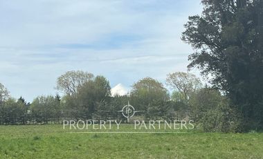 Linda parcela en «Fundo Praderas de Frutillar»