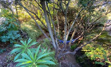 Arriendo año corrido disponible desde enero 2026