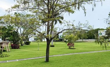 Casa La Fronda, Mezcalitos, Nay.