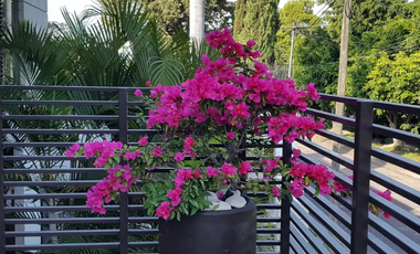 Casa en Venta en Lomas de Cocoyoc, Sección Panorama