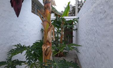 Casa en Venta en Punta Blanca Santa Elena SanS