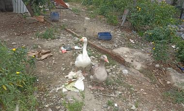 VENTA DE TERRENO EN  SANTA MARTHA DE LA BELLAVISTA DanA