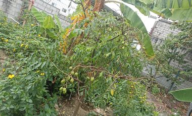 VENTA DE TERRENO EN  SANTA MARTHA DE LA BELLAVISTA DanA