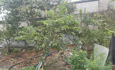 VENTA DE TERRENO EN  SANTA MARTHA DE LA BELLAVISTA DanA